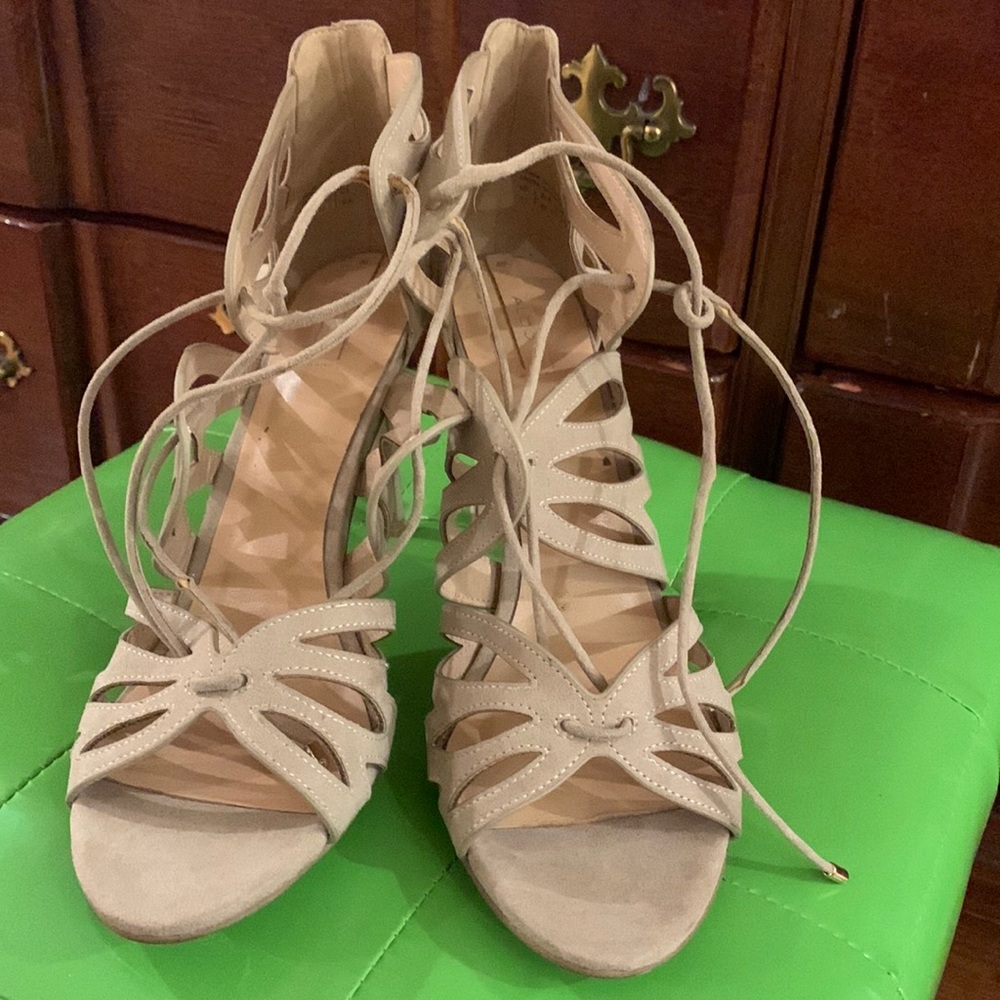 Aldo lace uo herl